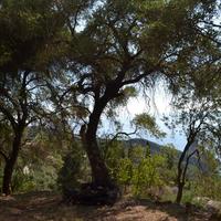 Земельный участок в Греции, Ионические острова