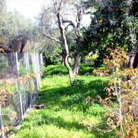 Other in Greece, Peloponnese, 100 sq.m.