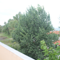 Таунхаус в Греции, Центральная Македония, Центр, 78 кв.м.