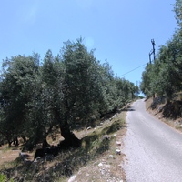 Land plot in Greece, Ionian Islands, 4700 sq.m.