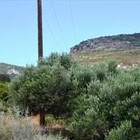 Land plot in Greece, Crete