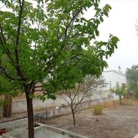 Other in Greece, Attica, Athens, 90 sq.m.