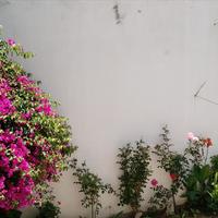 Отель (гостиница) в Греции, Крит, Ханья, 570 кв.м.