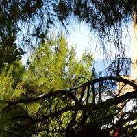 Land plot in Greece, Attica, Athens