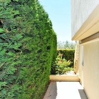 Таунхаус в Греции, Центральная Македония, Центр, 390 кв.м.