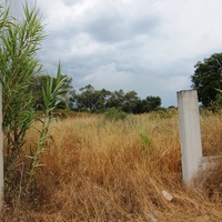 Land plot in Greece, Ionian Islands, 3000 sq.m.