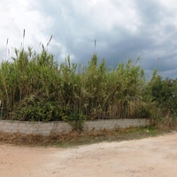 Land plot in Greece, Ionian Islands, 3000 sq.m.