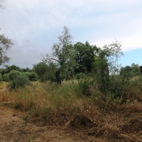 Land plot in Greece, Ionian Islands, 3000 sq.m.