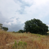 Land plot in Greece, Ionian Islands, 3000 sq.m.