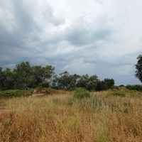 Land plot in Greece, Ionian Islands, 3000 sq.m.