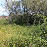 Land plot in Greece, Ionian Islands