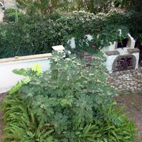 Other in Greece, Ionian Islands, 150 sq.m.