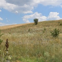 Земельный участок в Греции, Центральная Македония, Центр