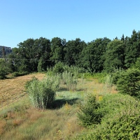 Other in Greece, Ionian Islands, 270 sq.m.