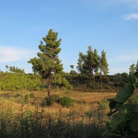 Other in Greece, Central Macedonia, Center, 140 sq.m.