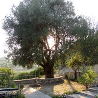 Other in Greece, Central Macedonia, Center, 140 sq.m.