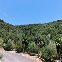 Land plot in Greece, Ionian Islands, 16000 sq.m.