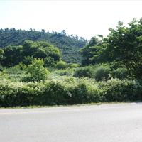 Land plot in Greece, Central Macedonia, Center