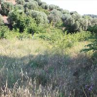 Земельный участок в Греции, Центральная Македония, Центр