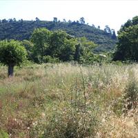 Земельный участок в Греции, Центральная Македония, Центр