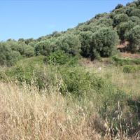 Земельный участок в Греции, Центральная Македония, Центр