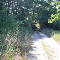 Земельный участок в Греции, Центральная Македония, Центр