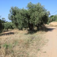Land plot in Greece, Central Macedonia, Center