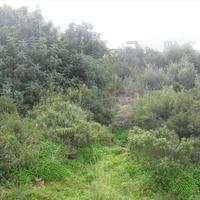 Земельный участок в Греции, Крит, Ханья