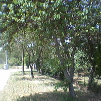 Other in Greece, Central Macedonia, Center, 190 sq.m.