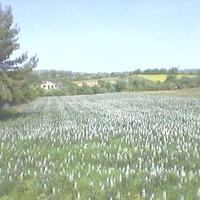 Other in Greece, Central Macedonia, Center, 190 sq.m.