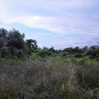 Land plot in Greece, Crete, Chania