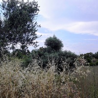 Land plot in Greece, Crete, Chania