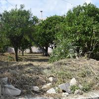 Land plot in Greece, Crete