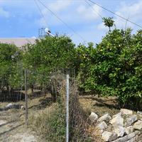 Land plot in Greece, Crete