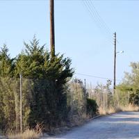 Land plot in Greece, Crete