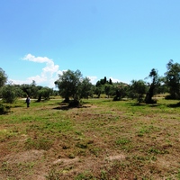 Land plot in Greece, Ionian Islands, 3000 sq.m.
