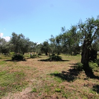 Land plot in Greece, Ionian Islands, 3000 sq.m.