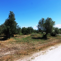 Land plot in Greece, Ionian Islands, 3000 sq.m.