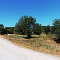 Land plot in Greece, Ionian Islands, 3000 sq.m.