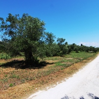 Land plot in Greece, Ionian Islands, 3000 sq.m.