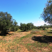 Land plot in Greece, Ionian Islands, 3000 sq.m.