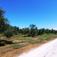 Land plot in Greece, Ionian Islands, 3000 sq.m.