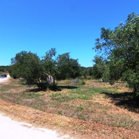Land plot in Greece, Ionian Islands, 3000 sq.m.