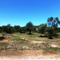 Land plot in Greece, Ionian Islands, 3000 sq.m.