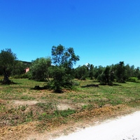 Land plot in Greece, Ionian Islands, 3000 sq.m.