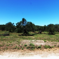 Land plot in Greece, Ionian Islands, 3000 sq.m.