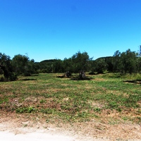 Land plot in Greece, Ionian Islands, 3000 sq.m.