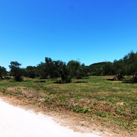 Land plot in Greece, Ionian Islands, 3000 sq.m.