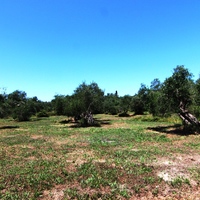Land plot in Greece, Ionian Islands, 3000 sq.m.