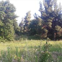 Земельный участок в Греции, Центральная Македония, Центр